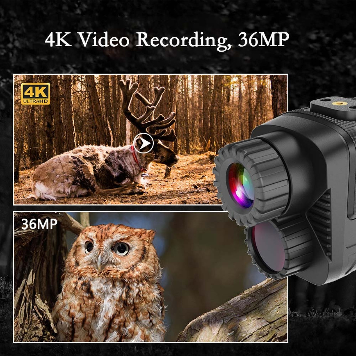 Lornetka pokazuje łosia i sowę w 4K/36MP do nagrywania.