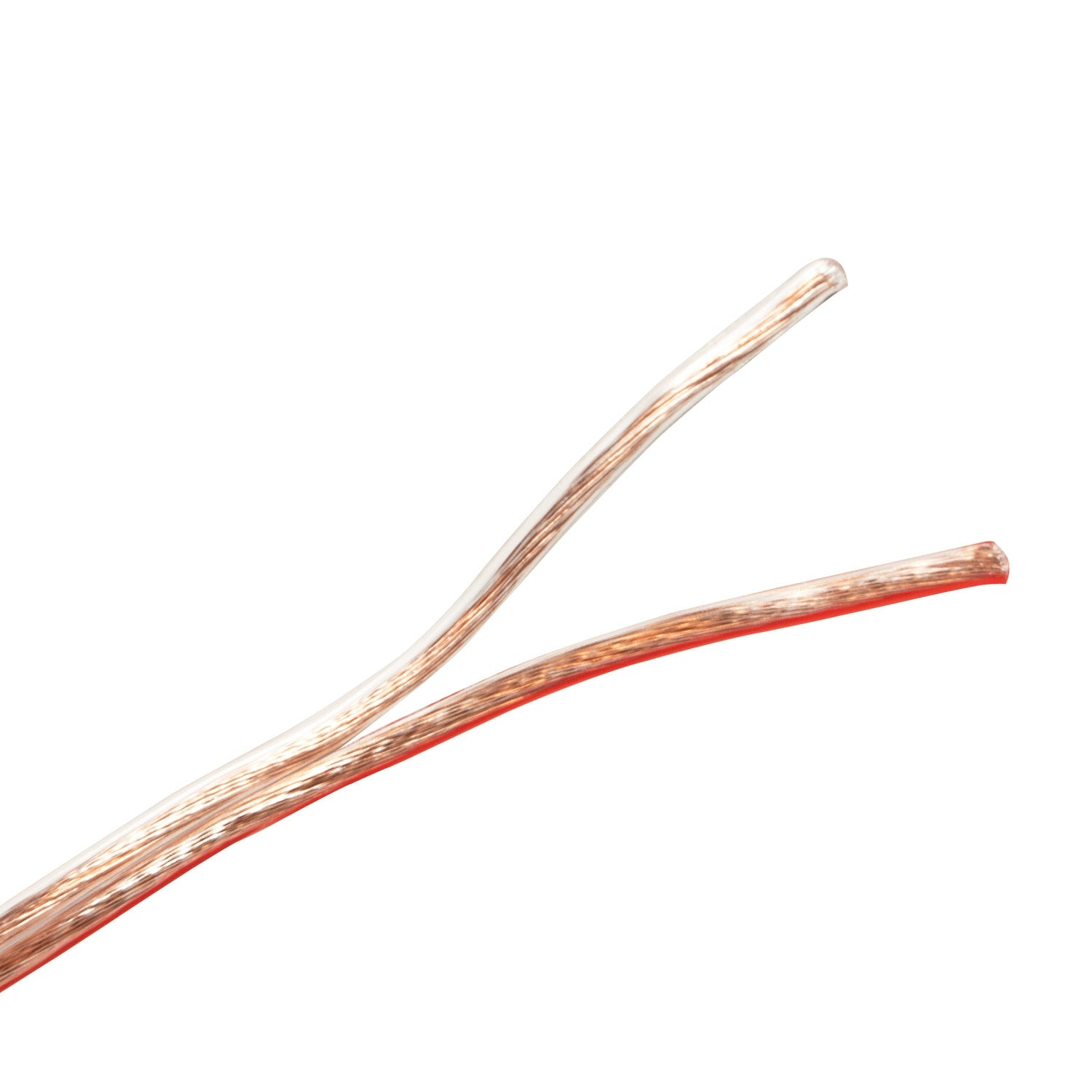 Dos cables transparentes con rayas rojas yacen uno al lado del otro, fondo blanco.