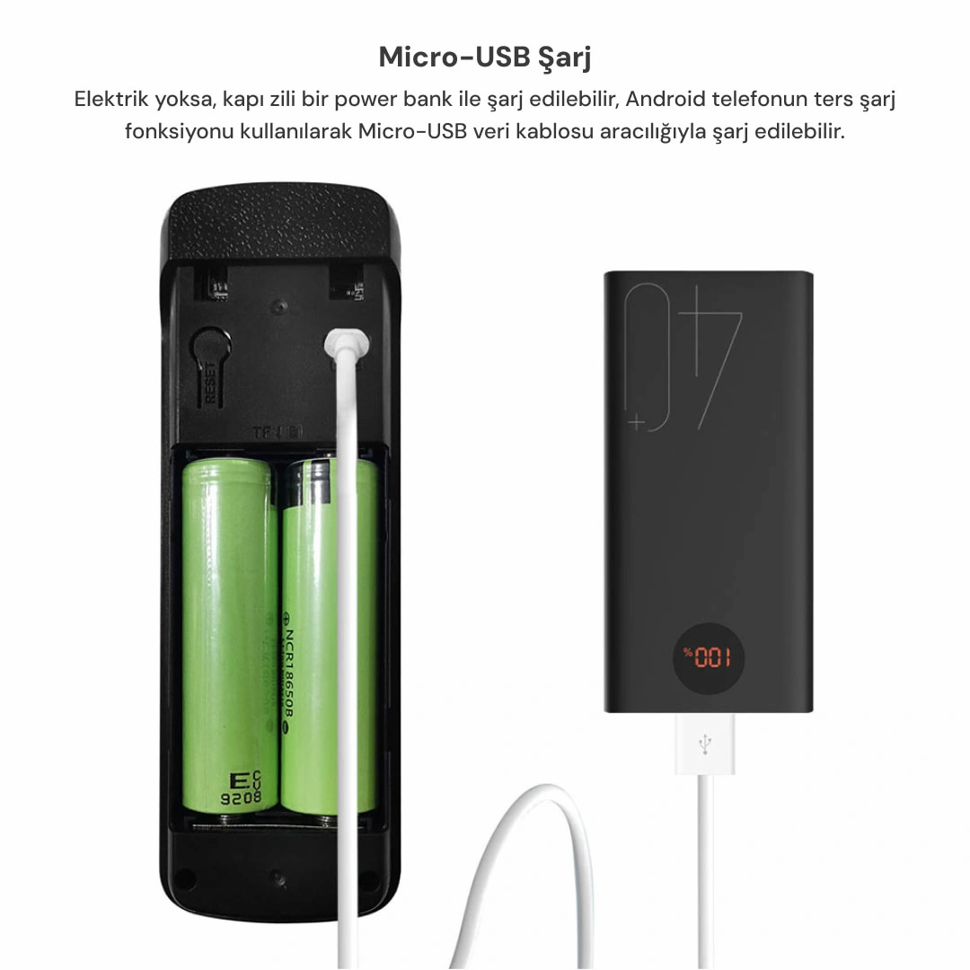 İçinde iki yeşil pil ve USB kablosu olan siyah bir powerbank.