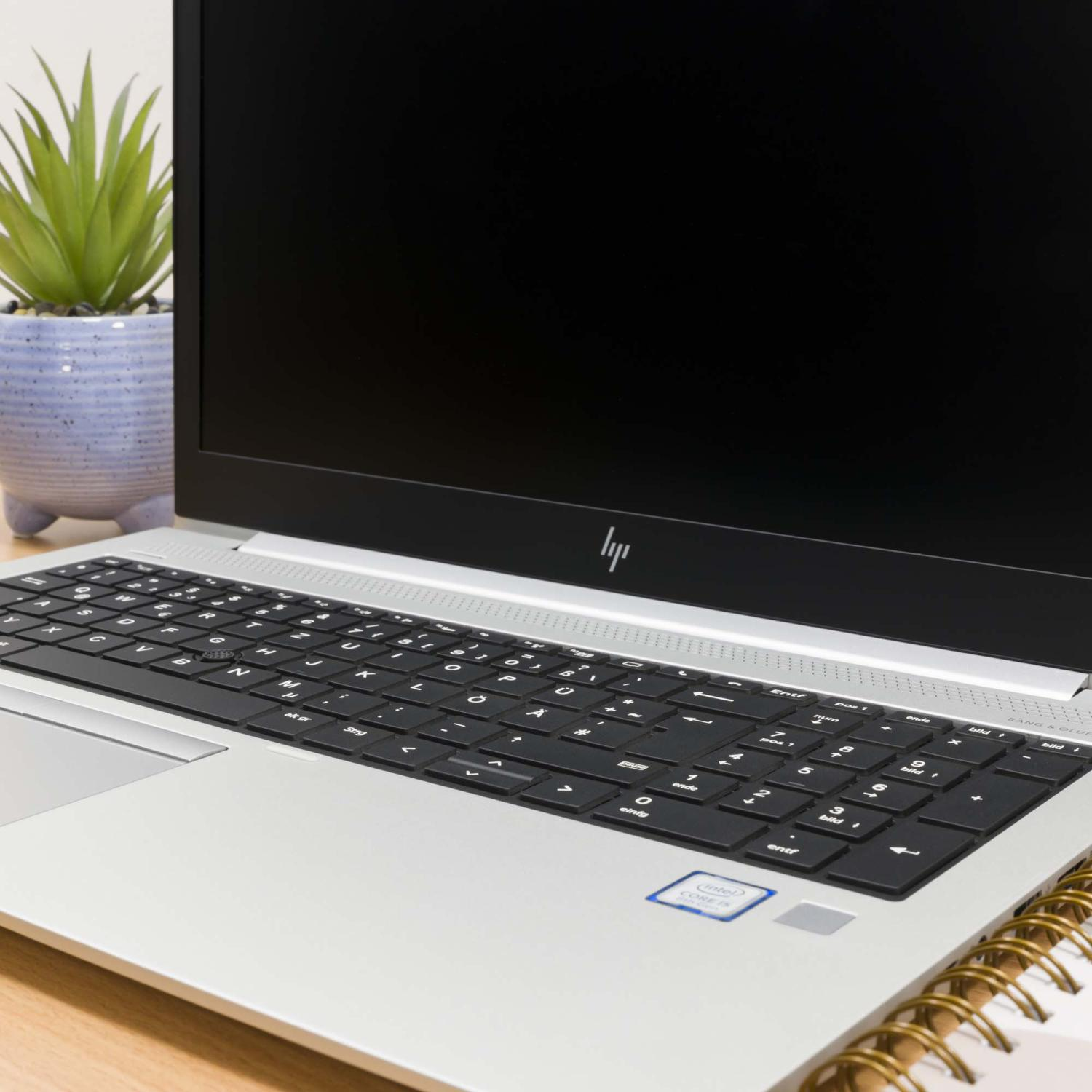 Ein silberner Laptop mit schwarzer Tastatur, links daneben ein Topf mit einer Pflanze.