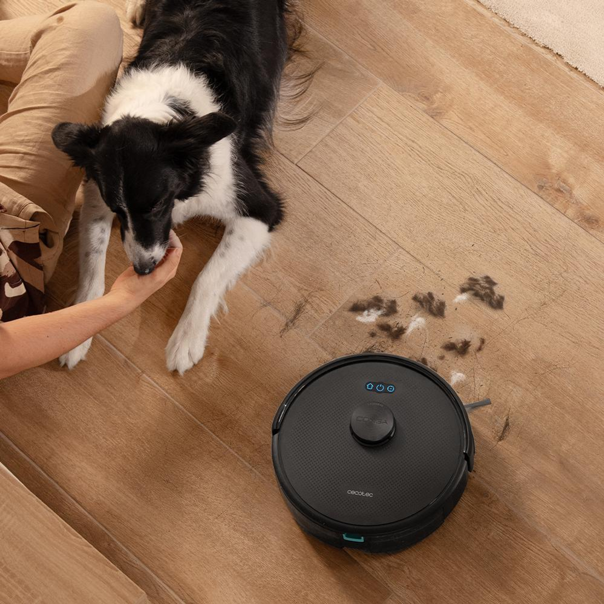 Un Border Collie giace su un pavimento in legno mentre un robot aspirapolvere pulisce.