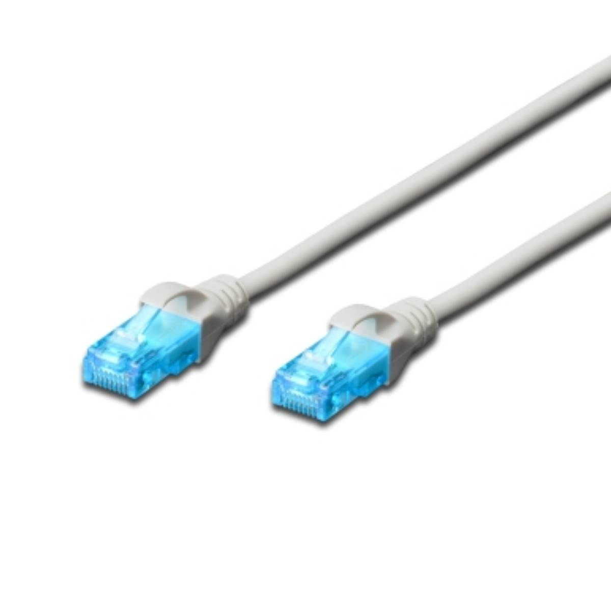 Due cavi di rete bianchi con connettori blu su sfondo bianco.