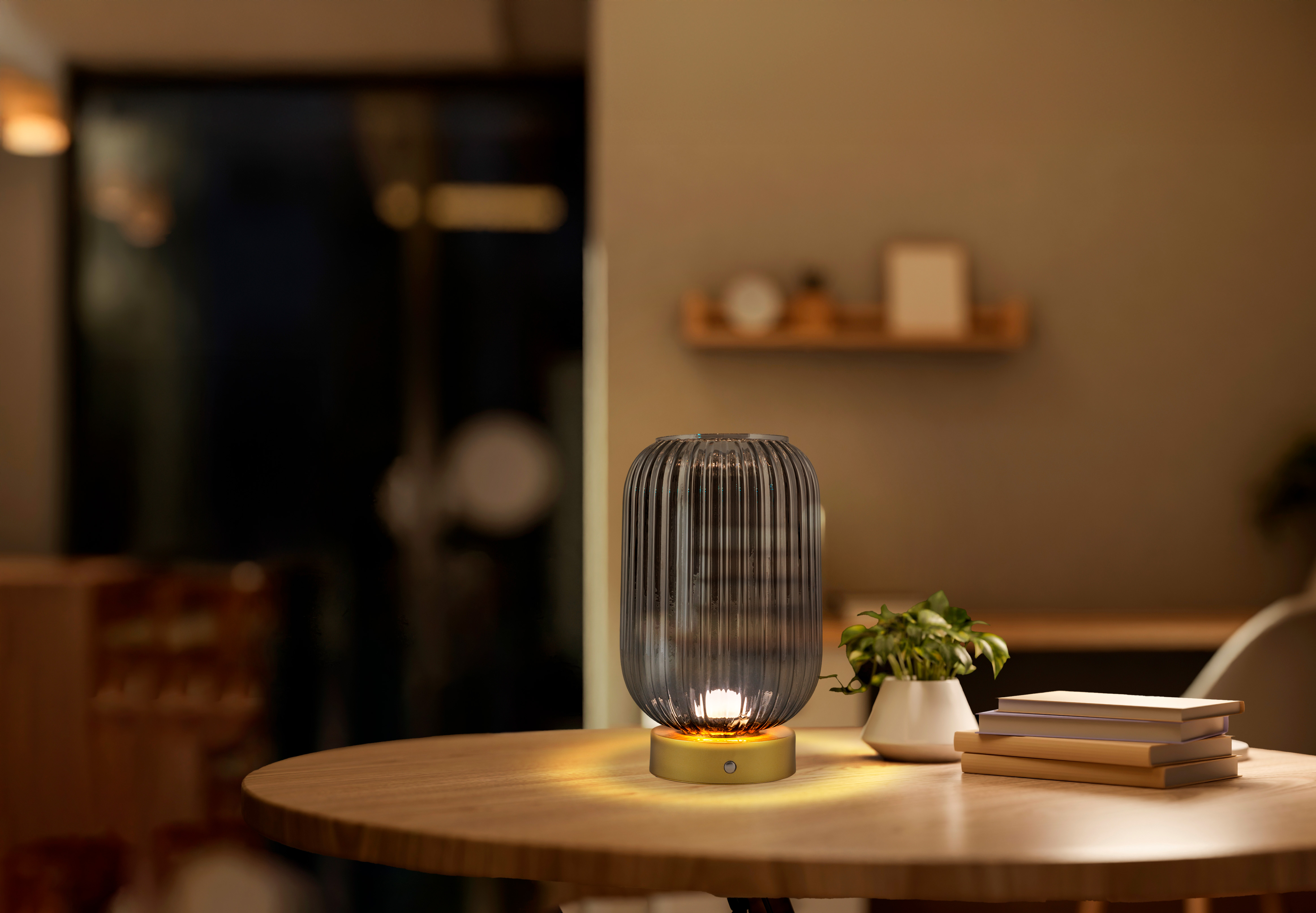 Eine graue gerippte Lampe leuchtet auf einem Holztisch neben Büchern und einer Pflanze.