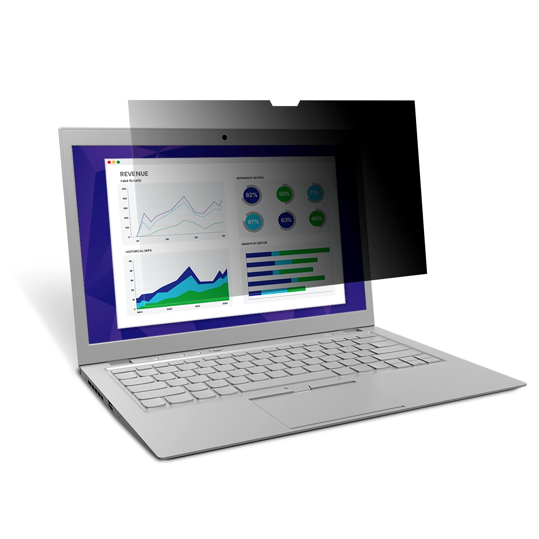 Ein Laptop zeigt Diagramme mit Einnahmen und Ausgaben. Ein Sichtschutz ist angebracht.