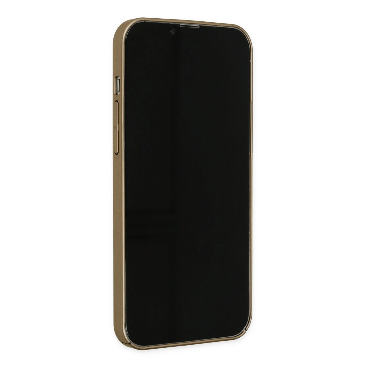 NEWFACE iPhone 14 Pro Uyumlu Jack Magneticsafe Lens Silikon Telefon Kılıfı Gold