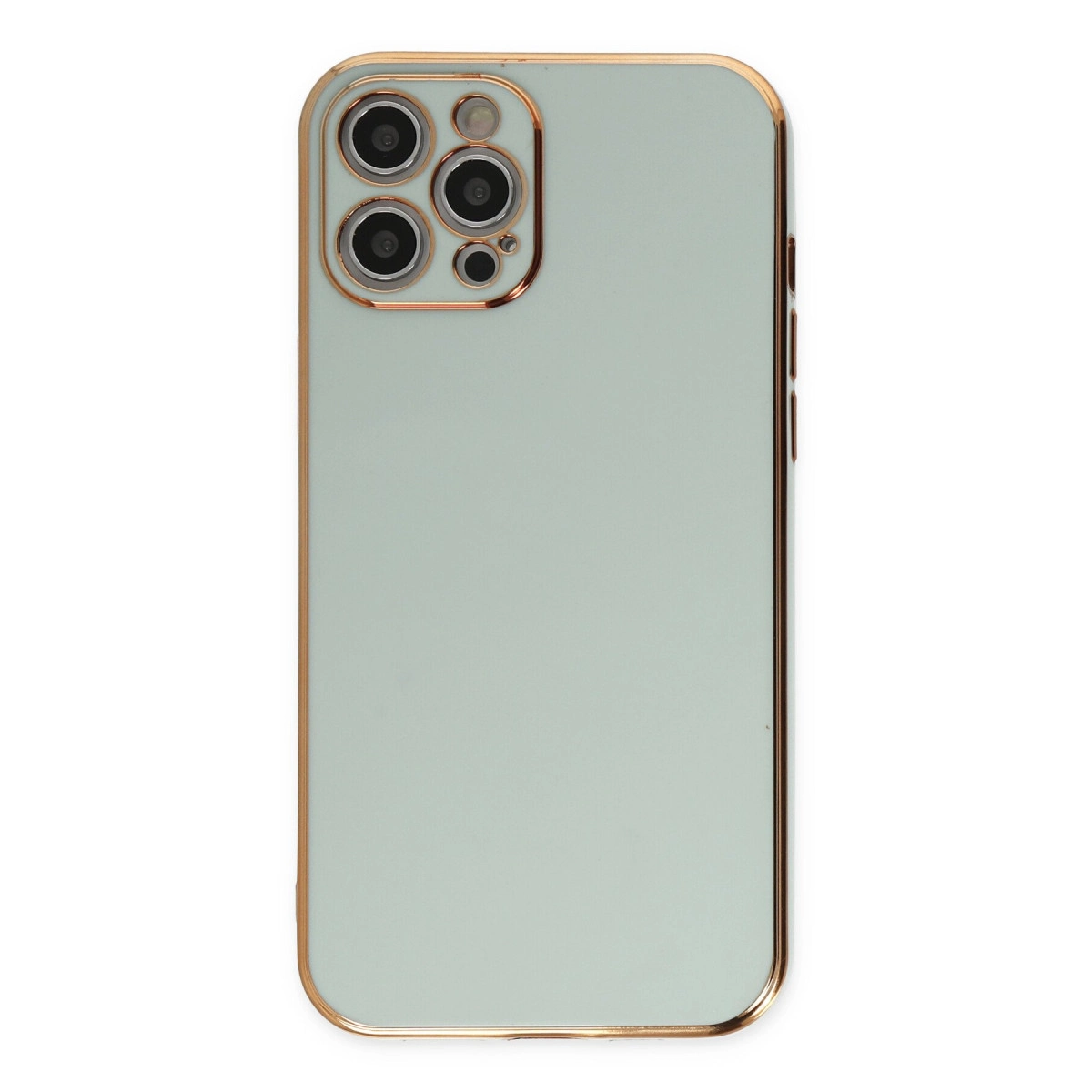 NEWFACE iPhone 12 Pro Uyumlu Volet Silikon Telefon Kılıfı Açık Yeşil