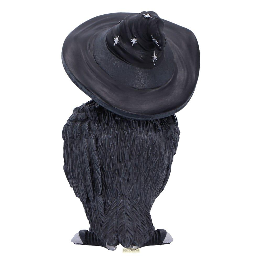Eine schwarze Eule mit einem Sternenhut sitzt auf weißen Füßen.