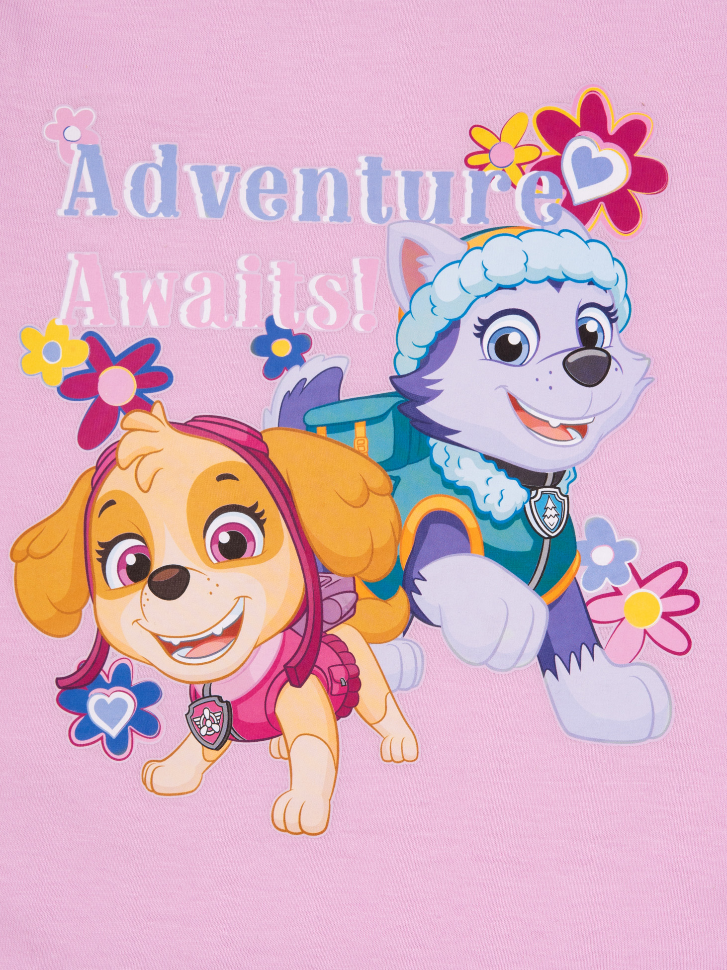 Zwei Paw Patrol Hunde auf rosa Hintergrund mit Blumen und Text.