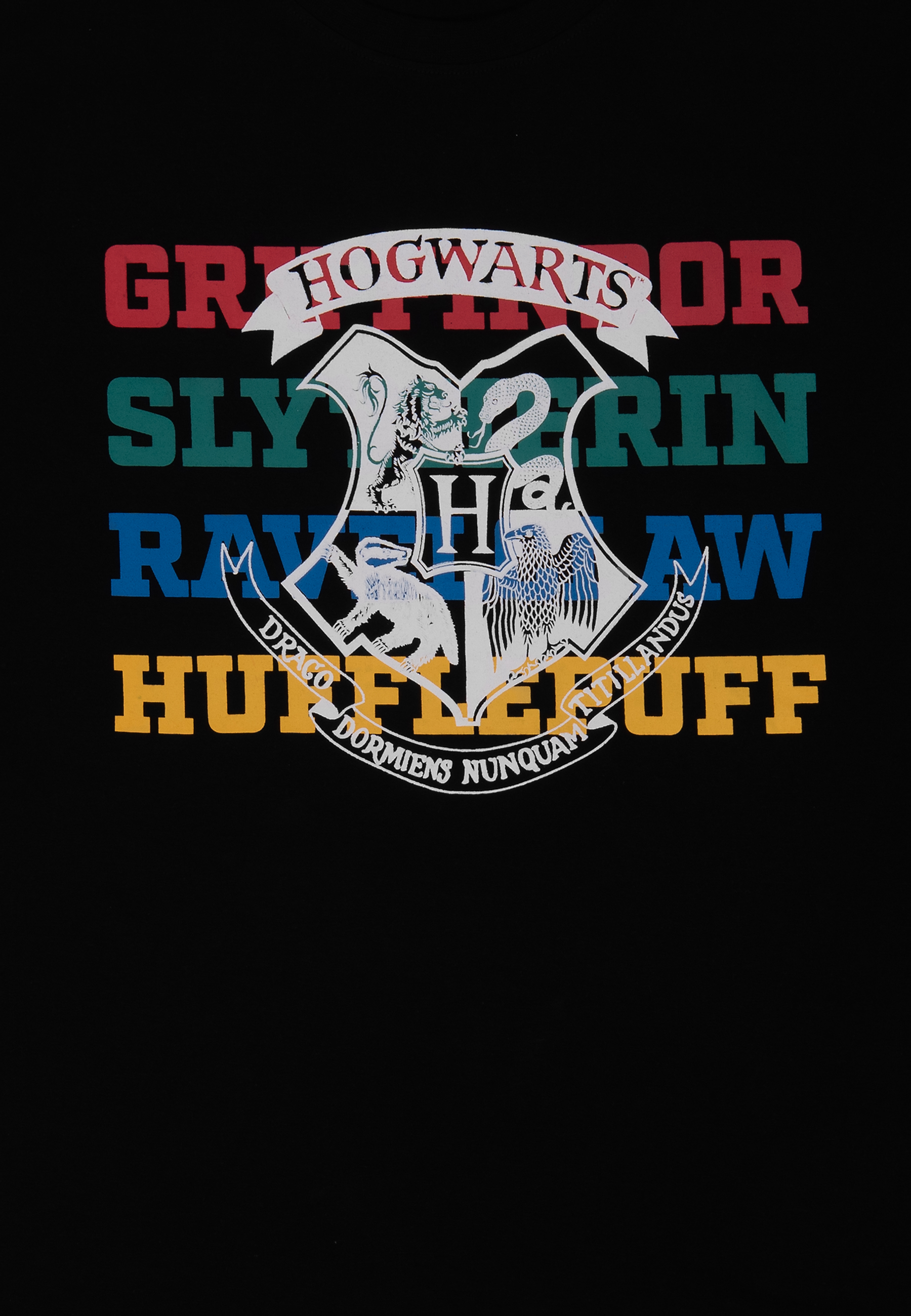 Hogwarts-Wappen mit vier Häusern: Gryffindor, Slytherin, Ravenclaw, Hufflepuff.