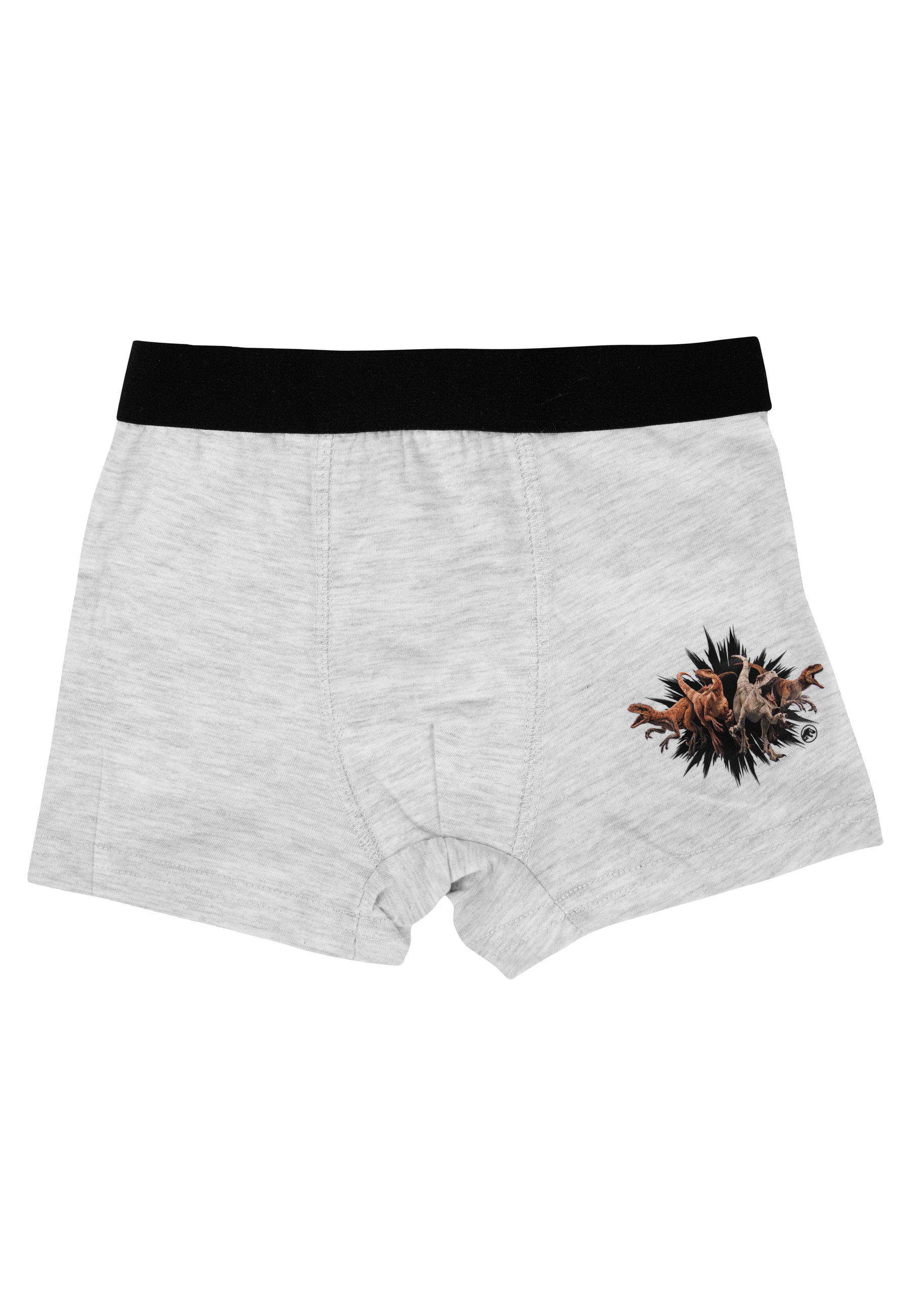 Graue Boxershorts mit schwarzem Bund und Dino-Aufdruck.
