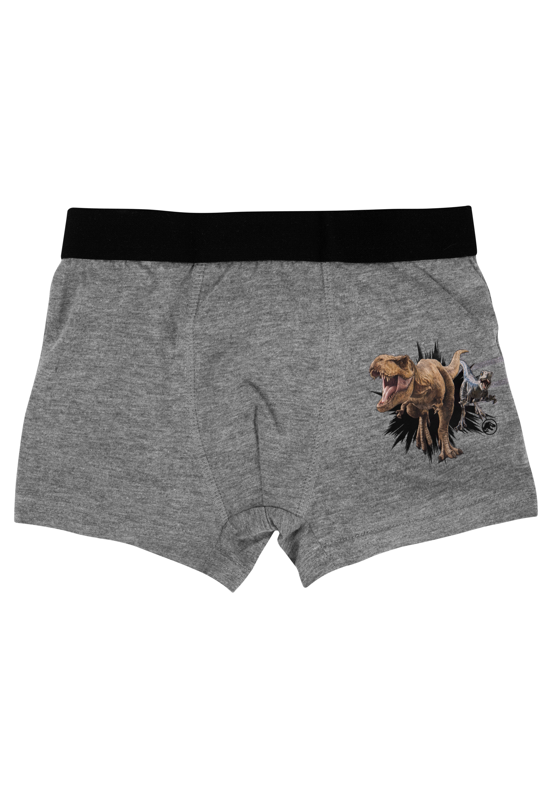 Graue Boxershorts mit schwarzem Bund und einem Bild von zwei Dinosauriern.