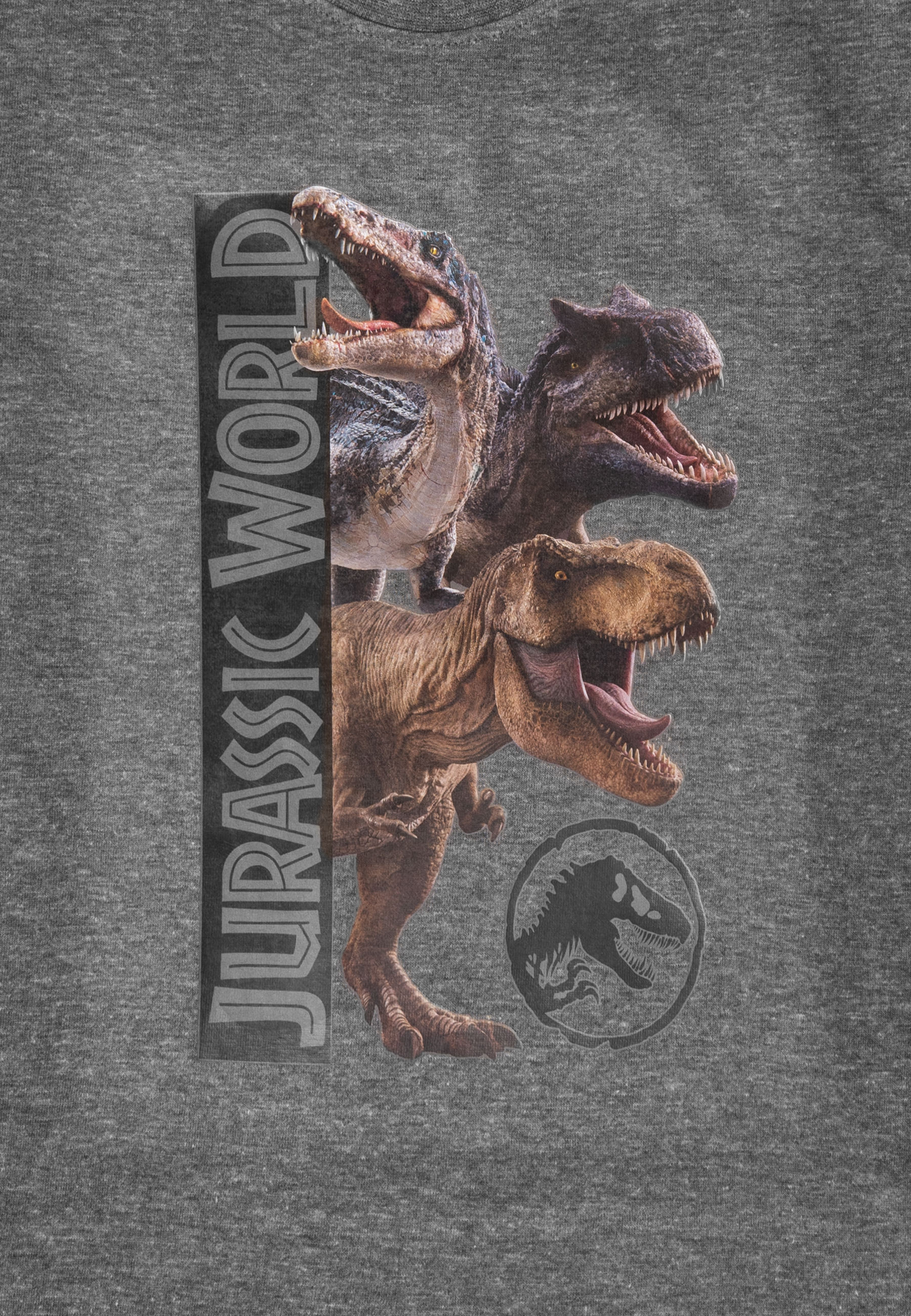 Drei Dinosaurier-Köpfe vor dem Schriftzug Jurassic World und dem Logo.