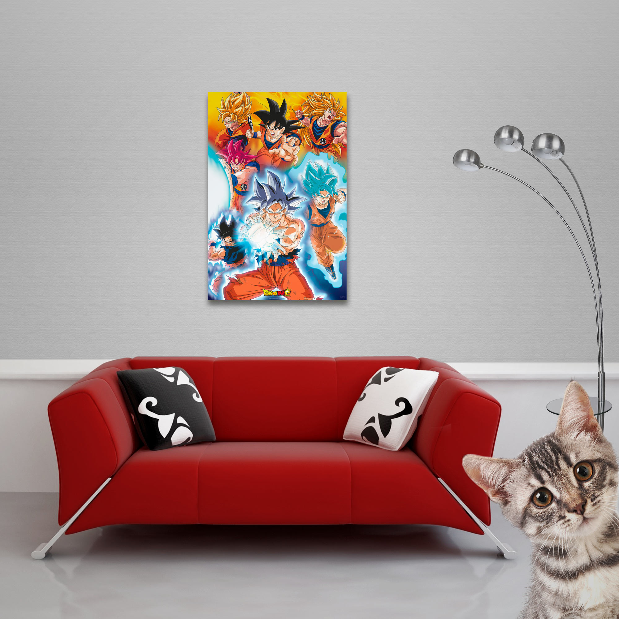 Ein Kater schaut neugierig auf eine rote Couch mit Dragon Ball Z-Poster.
