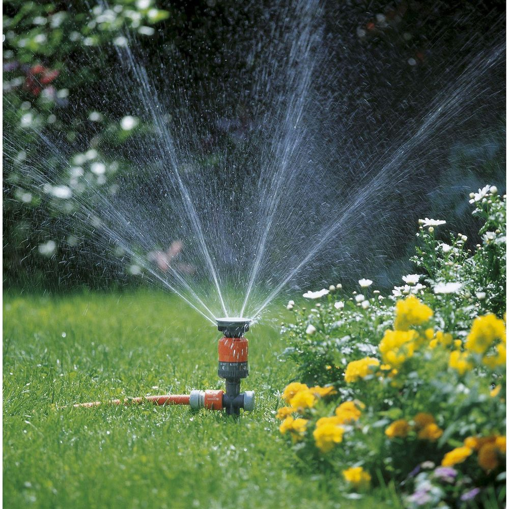 Un irrigatore annaffia un prato verde con fiori gialli e bianchi.