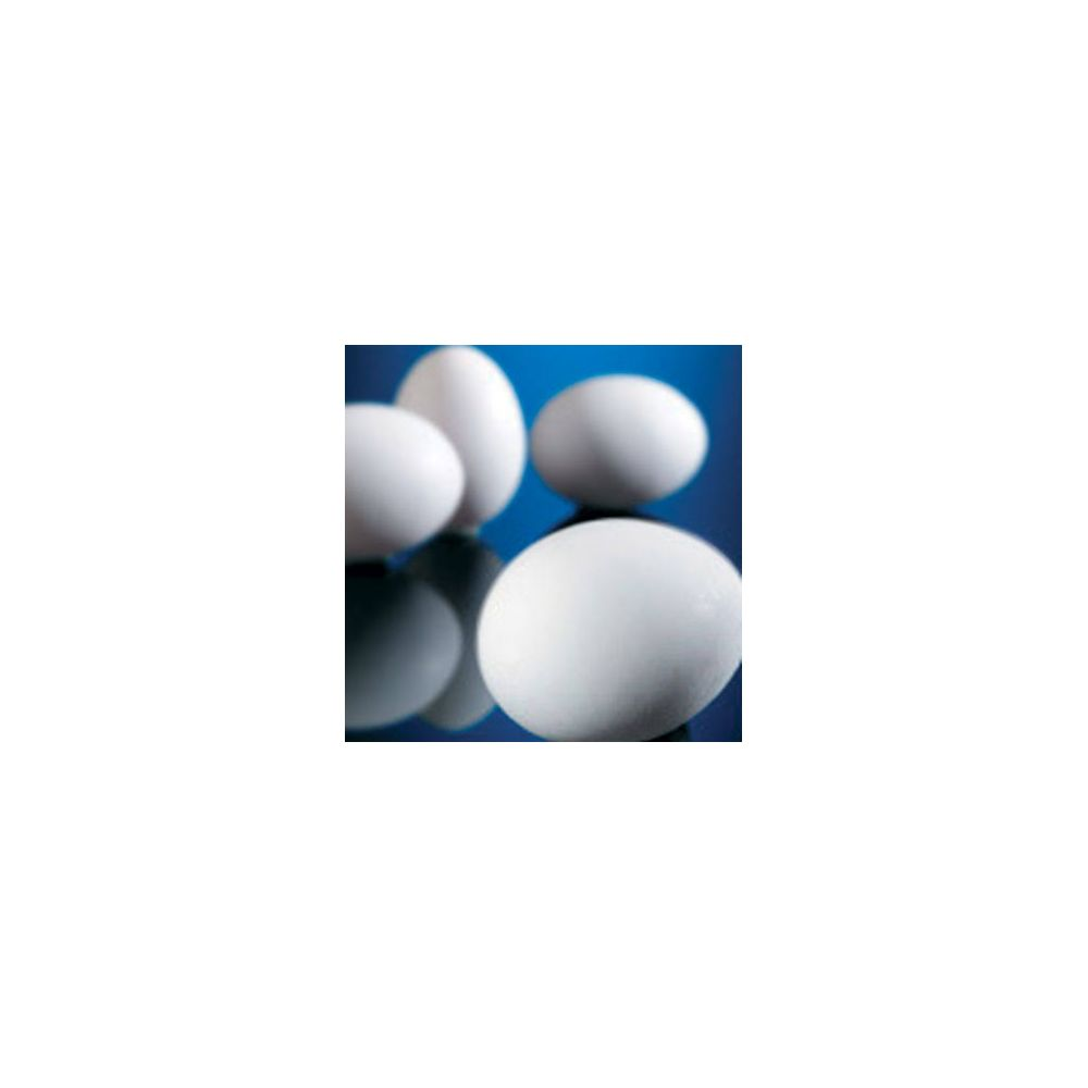 Vier weiße Eier auf einer glänzenden Oberfläche vor blauem Hintergrund.