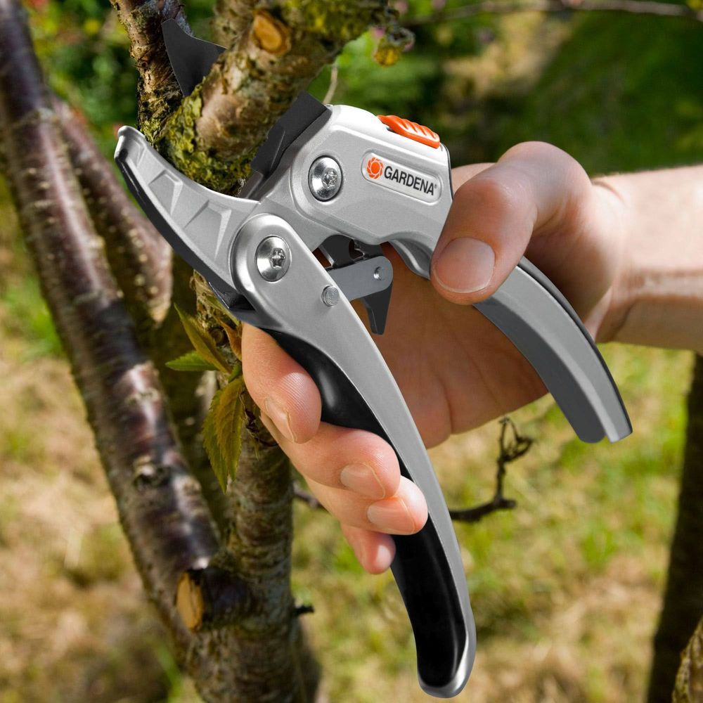 Eine Hand hält silberne Gardena-Astschere in der Nähe eines Astes.