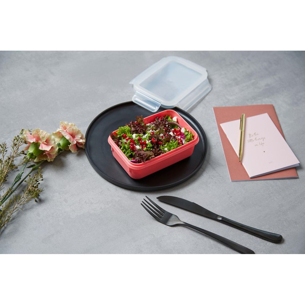 Ein roter Behälter mit Salat, Garnitur und Deckel, daneben eine Serviette und Besteck.