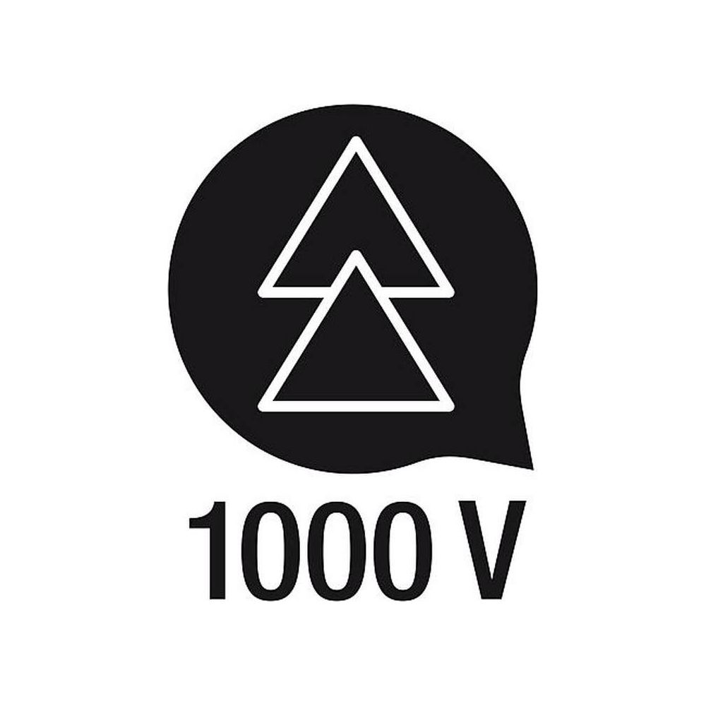 Simbolo con due triangoli e la scritta '1000 V'.