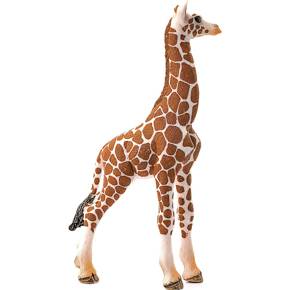 Una giraffa maculata marrone e bianca su sfondo bianco.