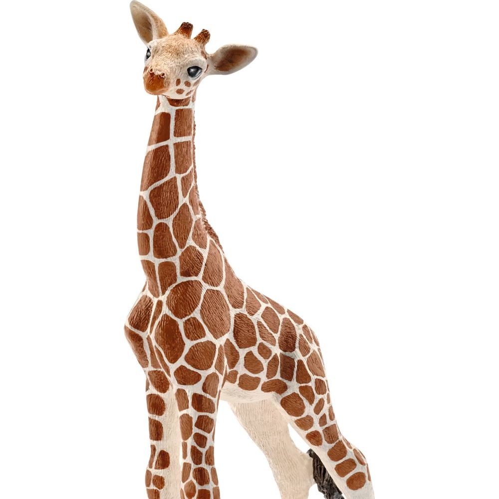 Una giraffa marrone con macchie bianche su sfondo bianco.