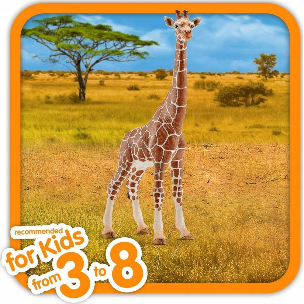 Żyrafa na trawiastym sawannie z drzewem pod niebieskim niebem.