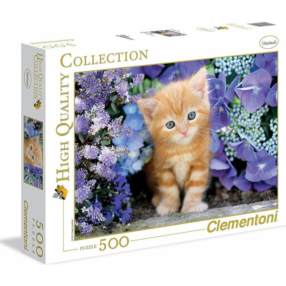 An orange kitten sits amidst blue-purple flowers.
