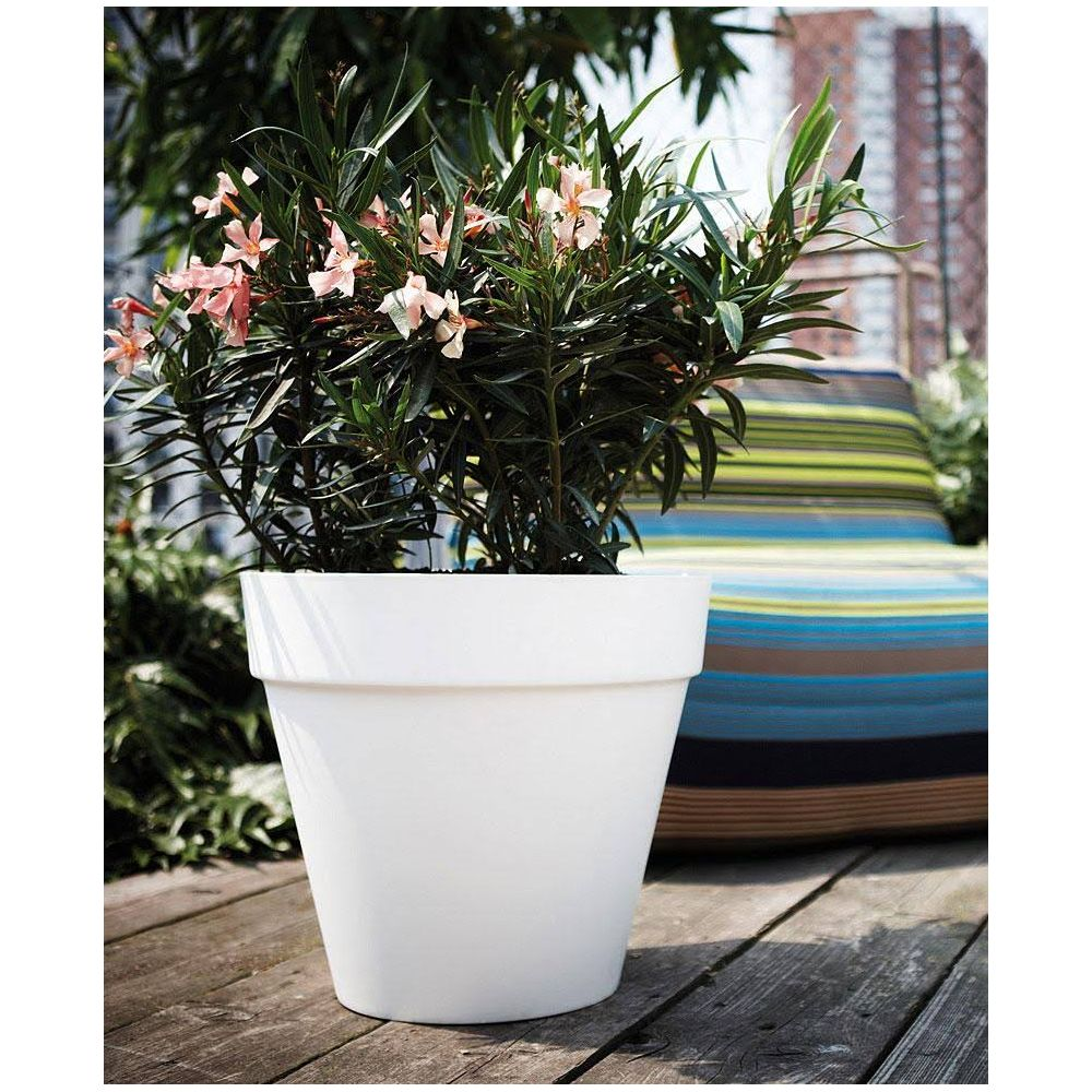 Biała doniczka z kwitnącą rośliną stoi na drewnianym tarasie.