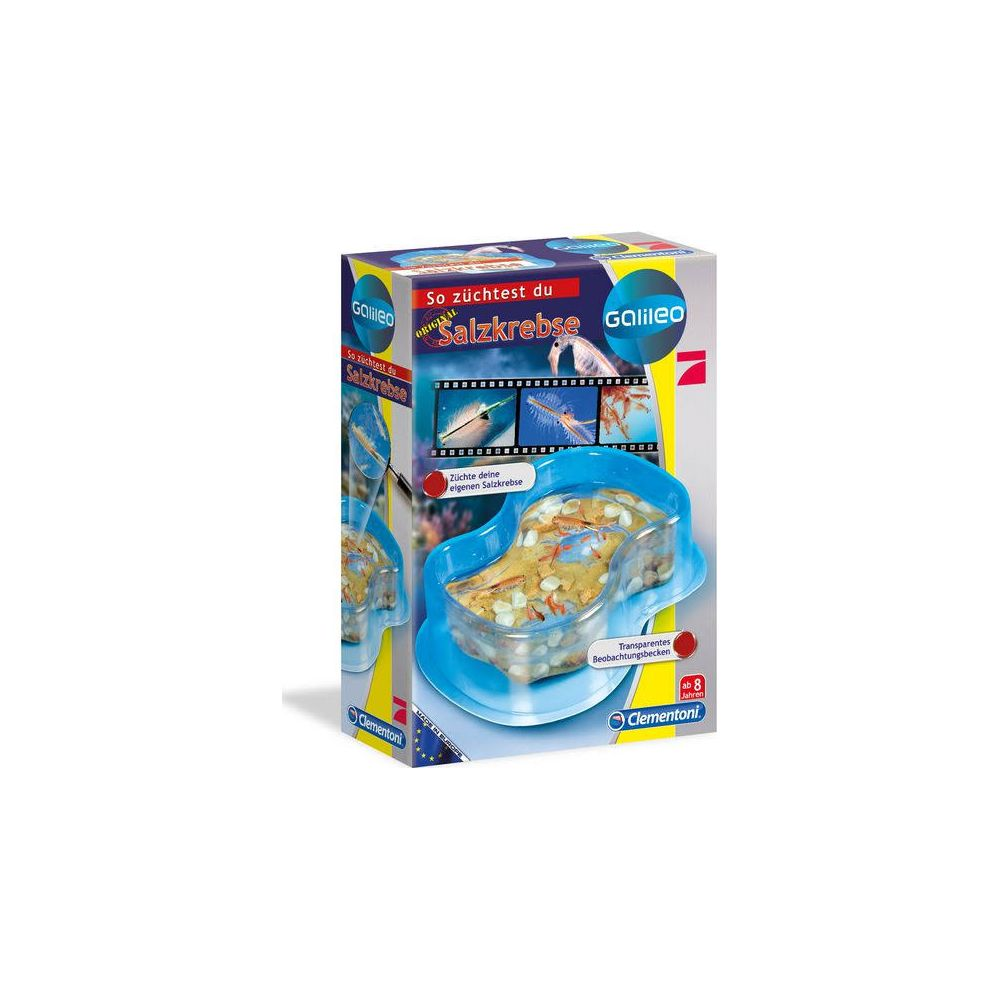 Zestaw do hodowli krewetek solankowych Galileo z przezroczystym zbiornikiem.