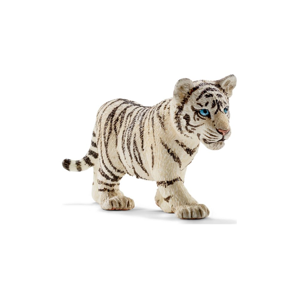 Un jeune tigre blanc aux yeux bleus et rayures noires se tient debout.