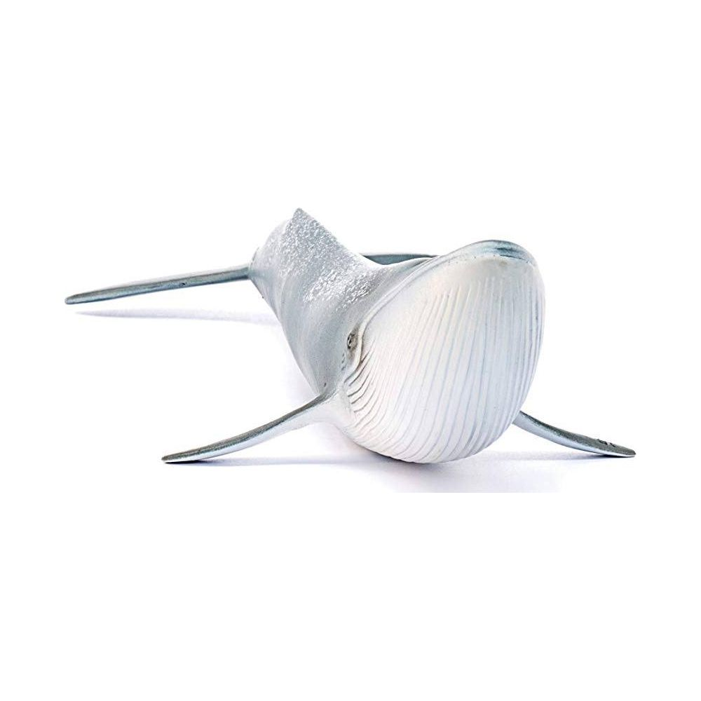 Szaro-niebieski model wieloryba z fałdami brzusznymi, na białym tle.