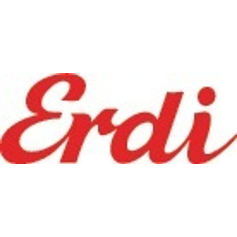 Roter kursiver Text 'Erdi' auf weißem Hintergrund.