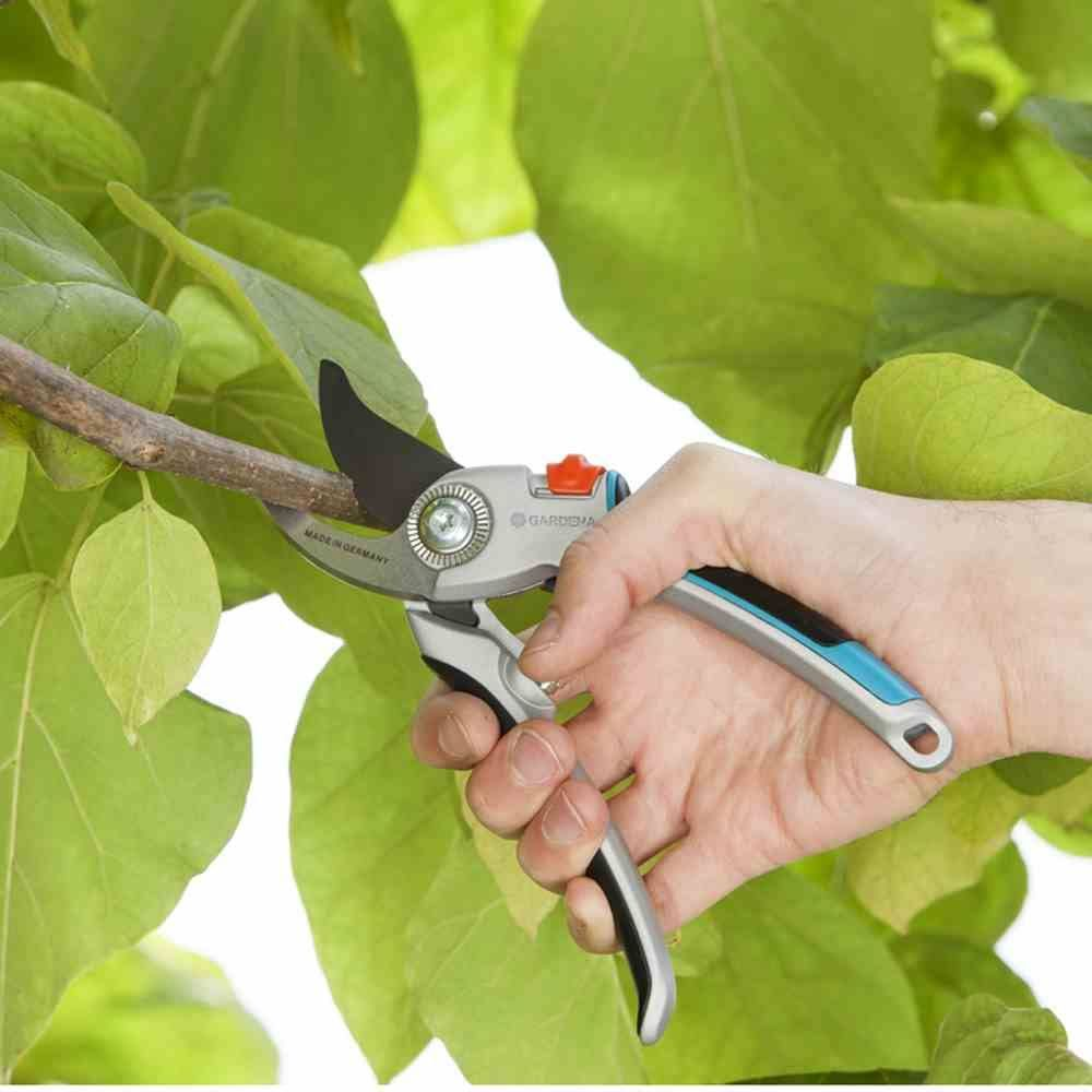 Ręka używa sekatora do cięcia gałęzi wśród zielonych liści.