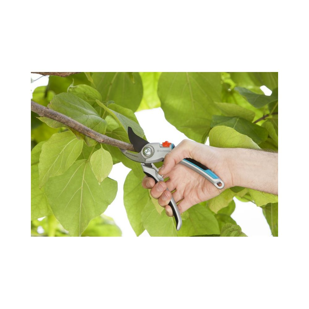 Dłoń trzyma srebrno-niebieskie sekatory, tnąc cienką gałąź drzewa. Otaczają ją zielone liście.