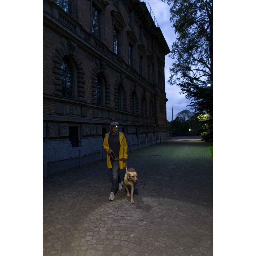Personne avec lampe frontale promène chien sur pavés la nuit devant un bâtiment.