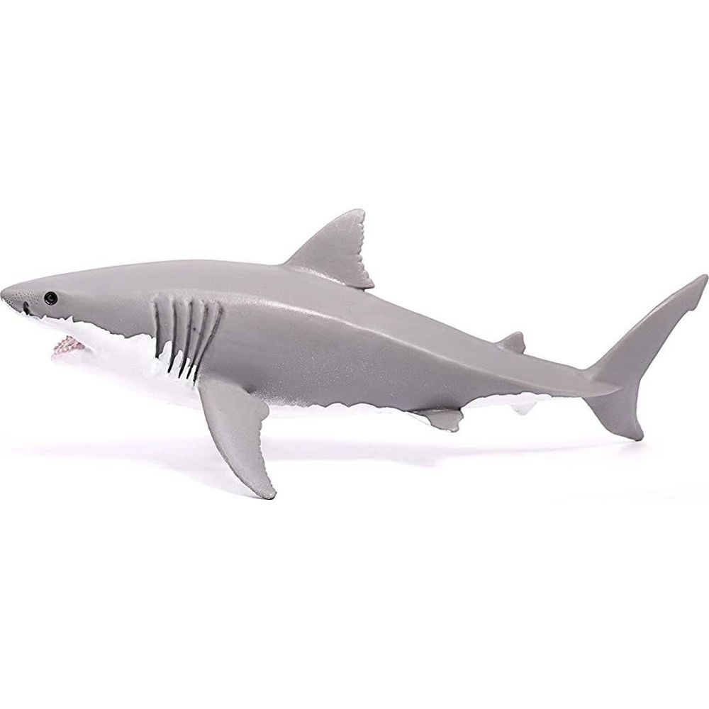 Szary rekin z otwartym pyskiem na białym tle.