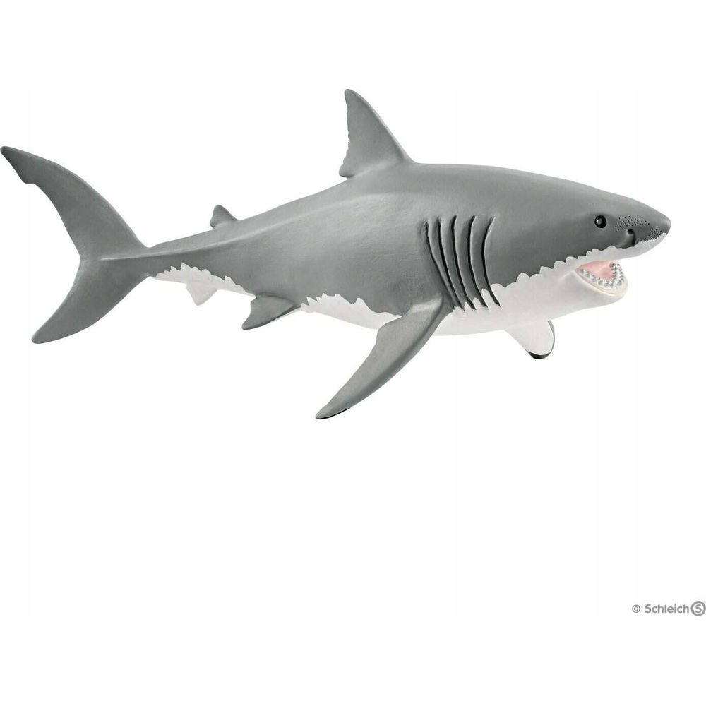 Szary rekin z otwartym pyskiem, ostrymi zębami, na białym tle.