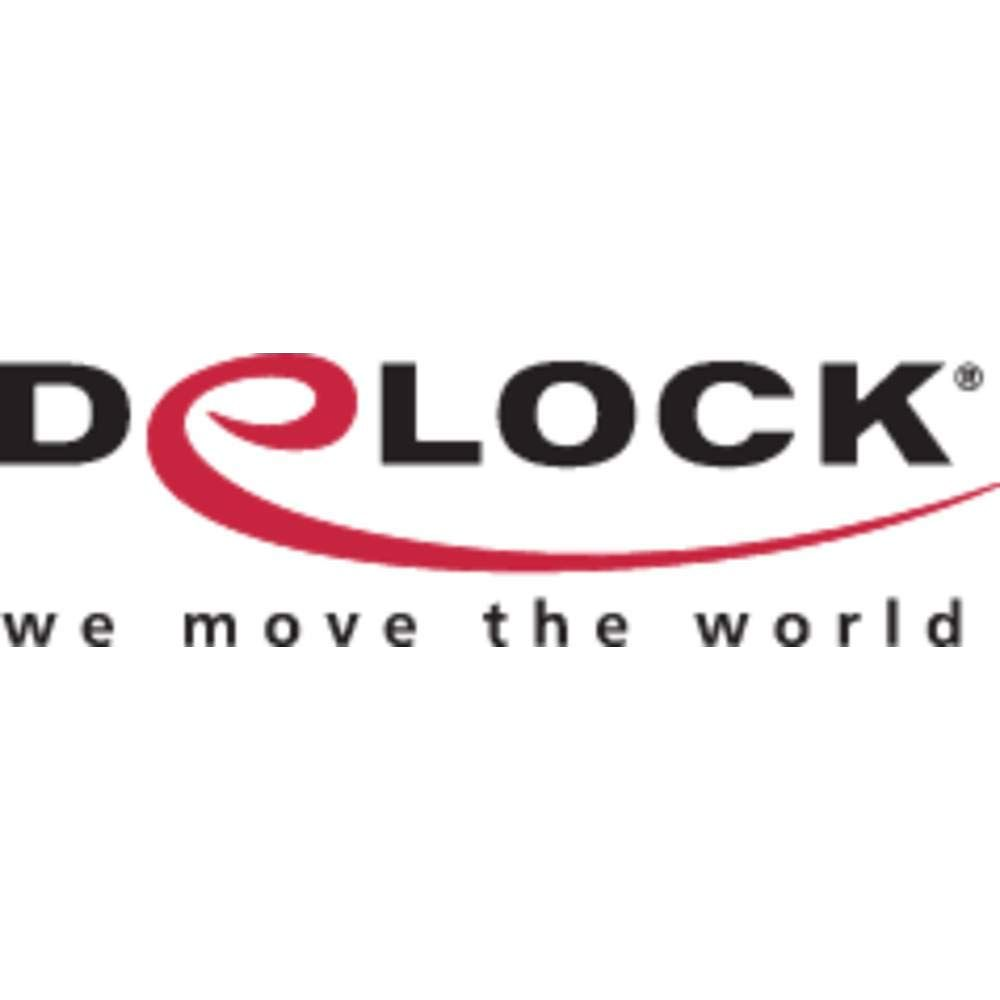 Logo z czarnym napisem 'DELOCK' i czerwonym pociągnięciem. Poniżej 'we move the world'.