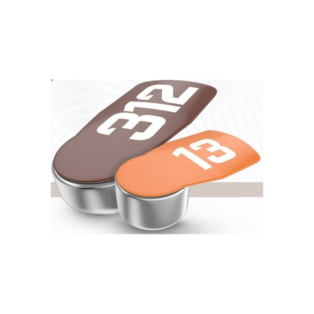 Due batterie a bottone, una marrone con etichetta '312', una arancione '13'.