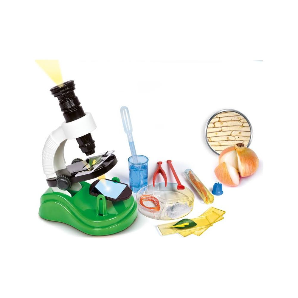 Kindermikroskop mit Zwiebel, Pipette und Objektträgern.