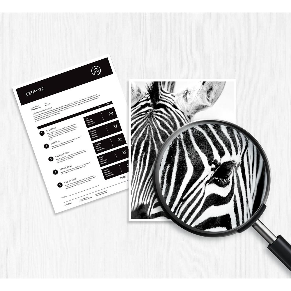 Dokument szacunkowy leży obok zbliżenia zebry oglądanej przez lupę.