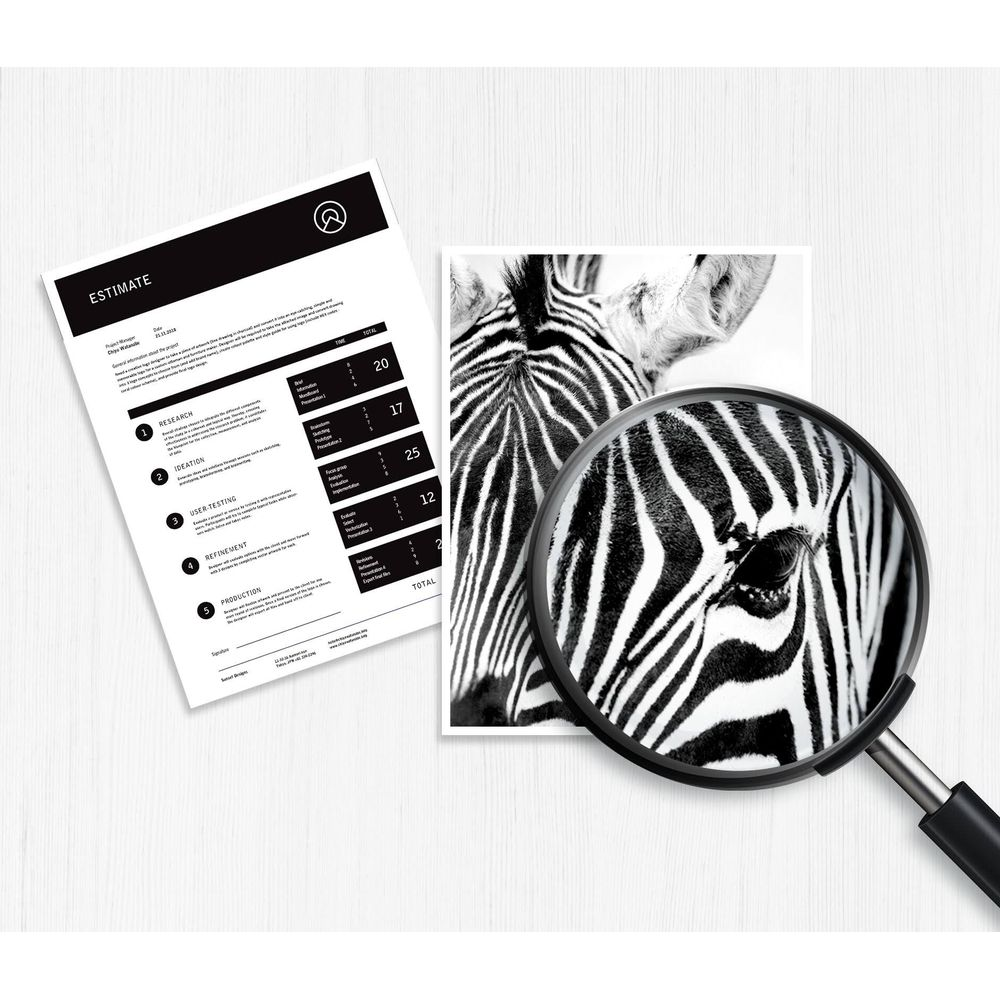 Un documento di stima e un primo piano di una zebra vista con una lente d'ingrandimento.
