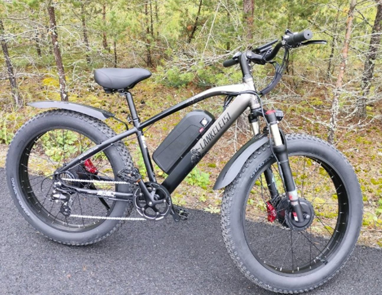 Una e-bike nera con pneumatici larghi si trova su un sentiero asfaltato in un bosco.
