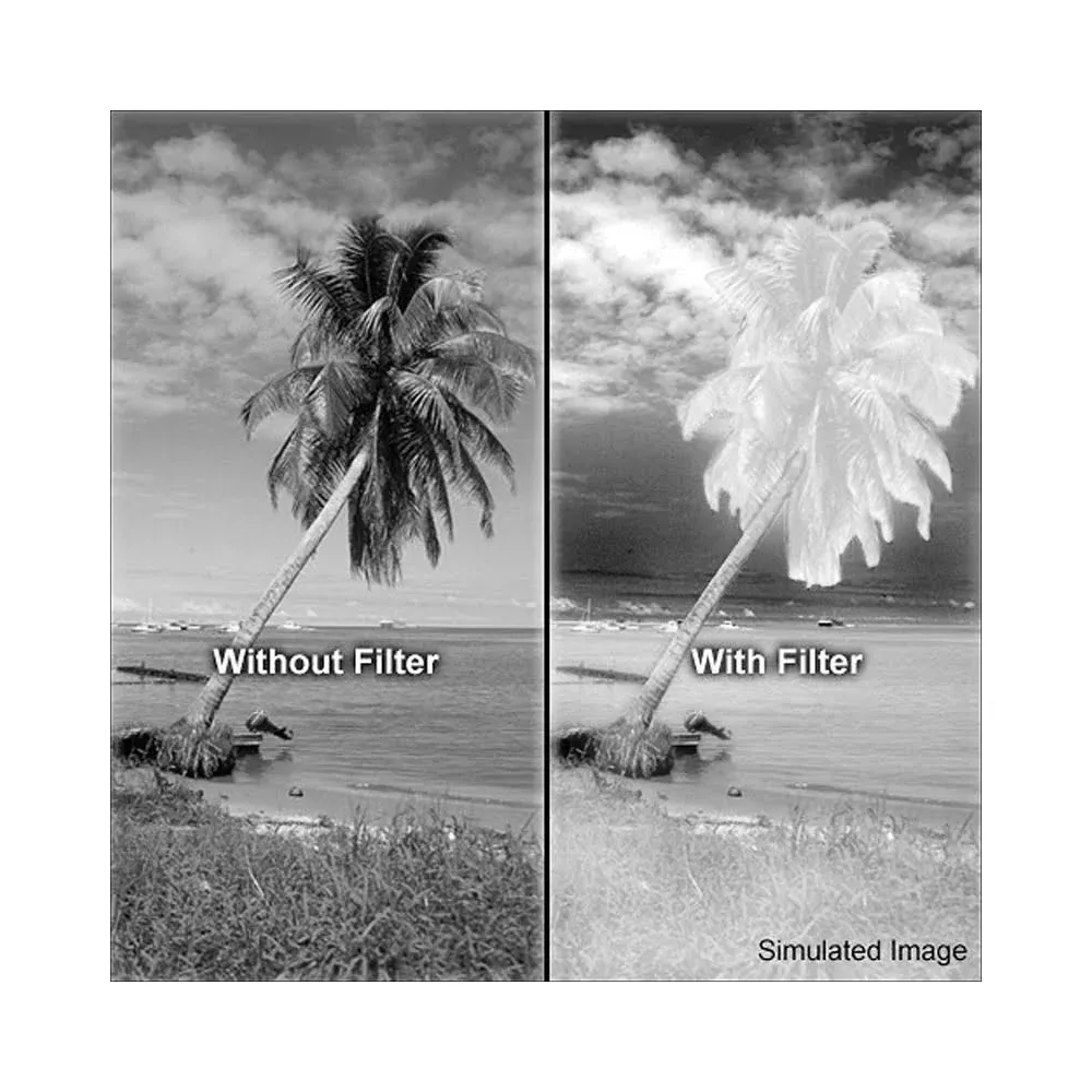 Vergleich zweier Bilder eines Palmenbaums am Strand. Links: Ohne Filter. Rechts: Mit Filter.