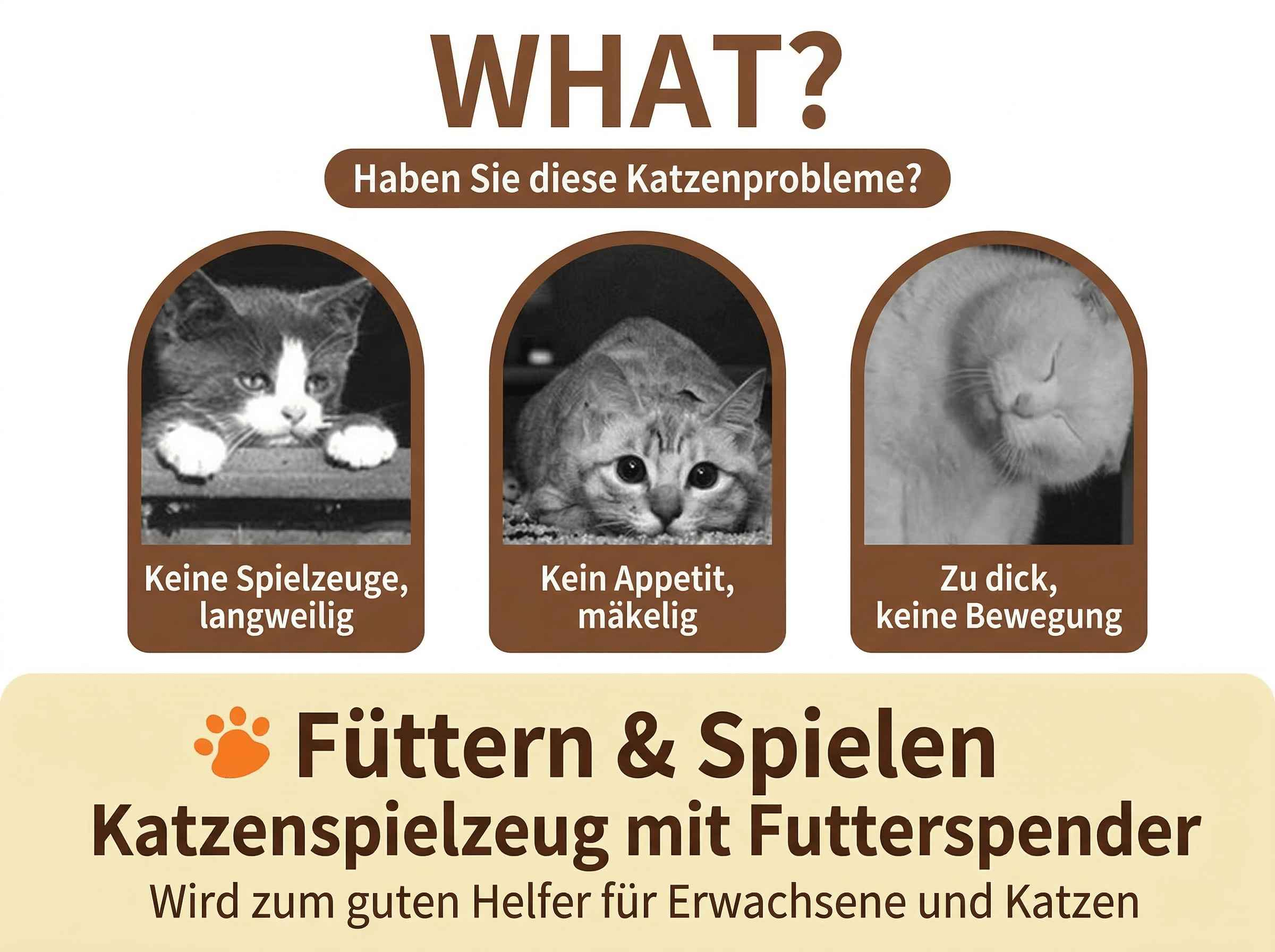 Drei Katzenbilder mit Text: Langeweile, Appetitlosigkeit, Übergewicht. Füttern & Spielen.