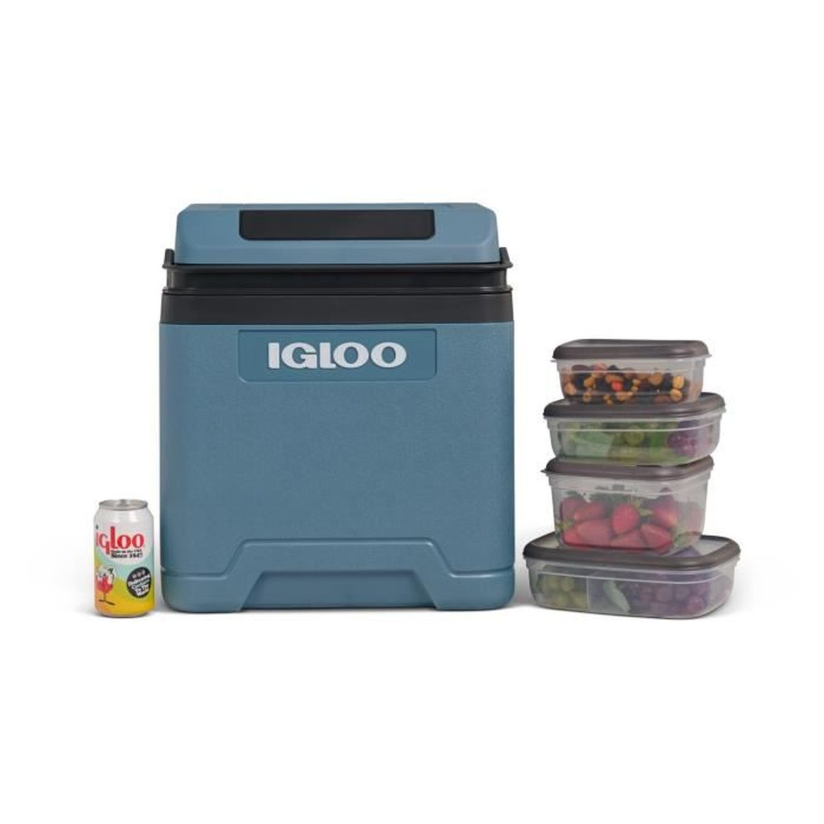 Eine blaue Kühlbox mit Igloo-Logo, daneben eine Dose und vier Behälter mit Lebensmitteln.