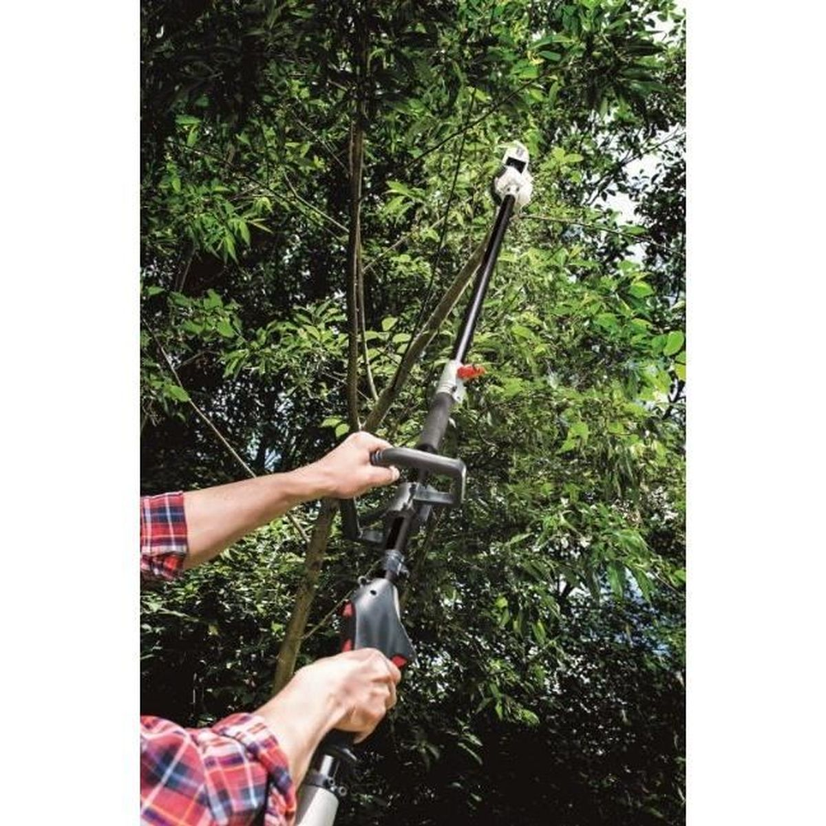 Persona con sierra de pértiga corta ramas de un árbol frondoso.