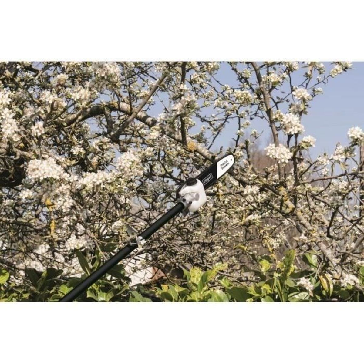 Una podadora de pértiga con mango blanco frente a árboles en flor.