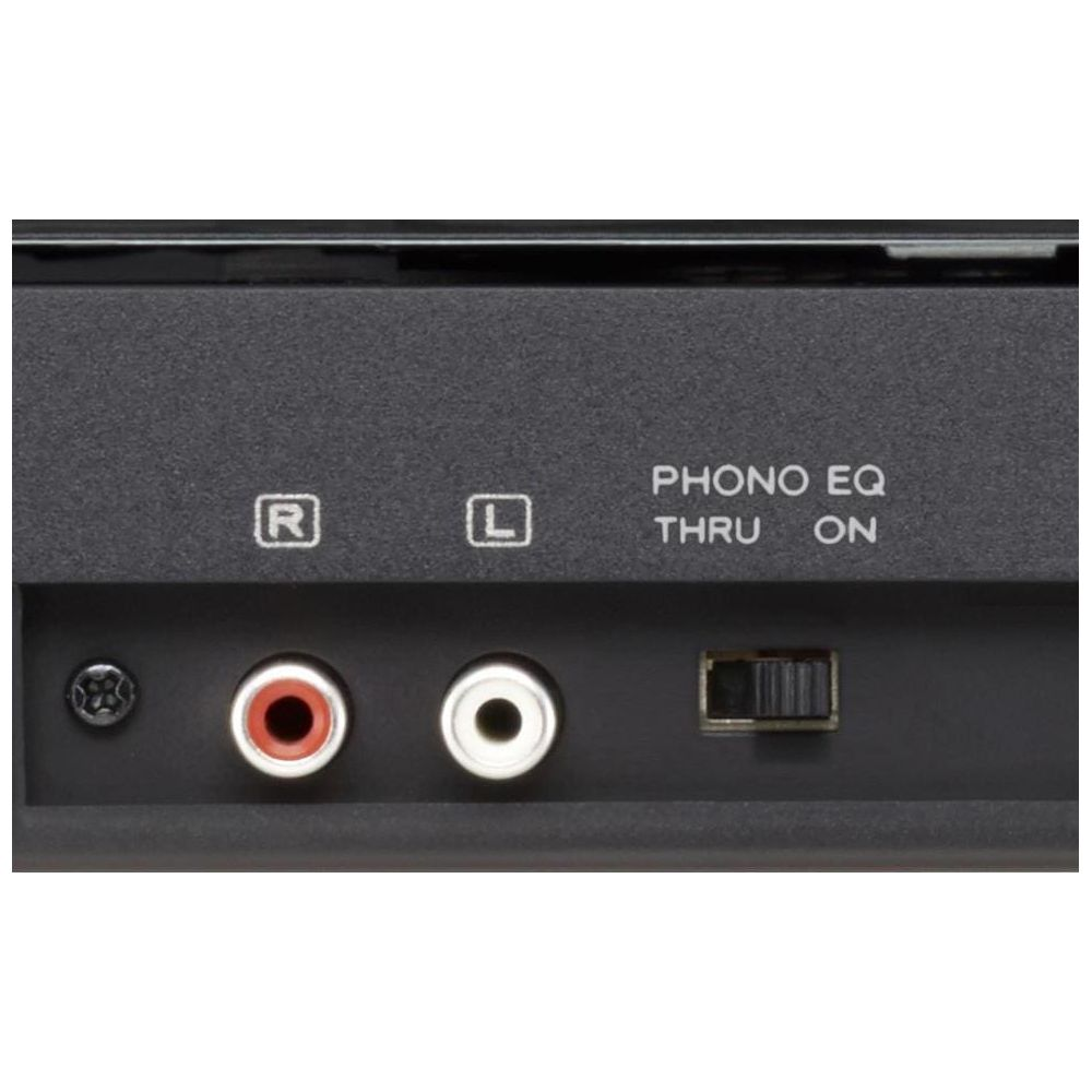 RCA-Anschlüsse, Schalter und Beschriftung 'PHONO EQ THRU ON'.