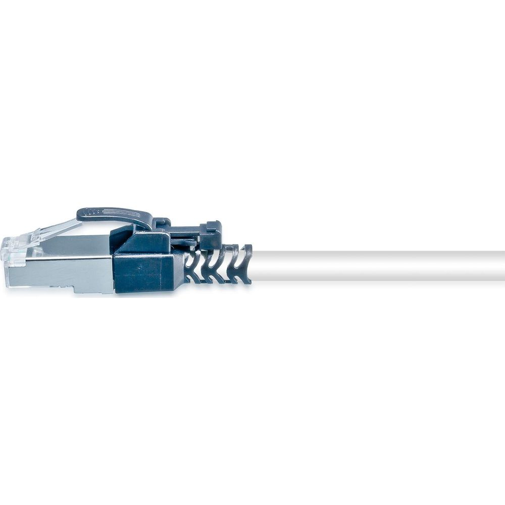 Gros plan d'un câble réseau blanc avec un connecteur RJ45 argenté et bleu.