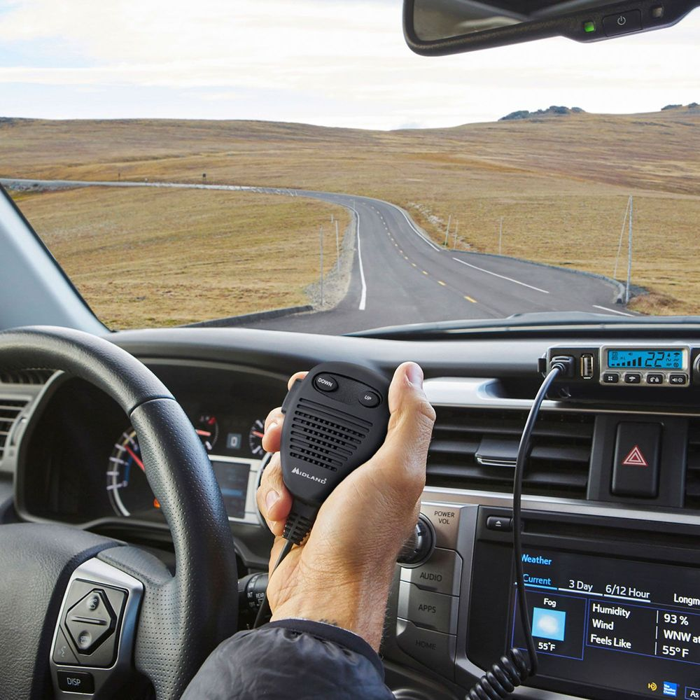 Hand hält Mikrofon im Auto vor einer Straße mit Wiesen.